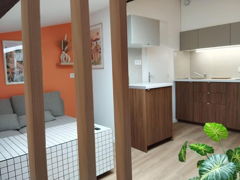 Ferienwohnung Le Nid Douillet De L'Hypercentre Toulouse Exterior foto